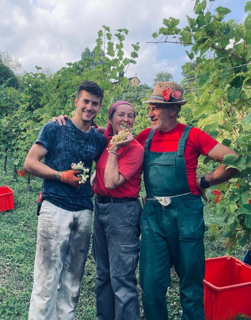 Agriturismo Le Noci Tarzo Ngoại thất bức ảnh