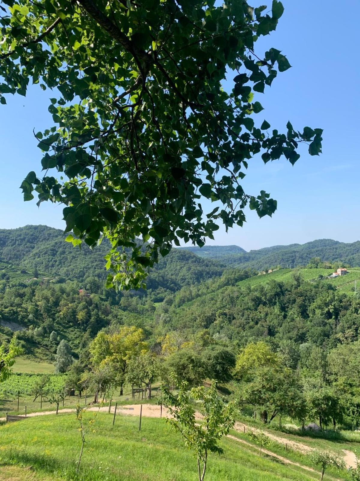 Agriturismo Le Noci Tarzo Ngoại thất bức ảnh