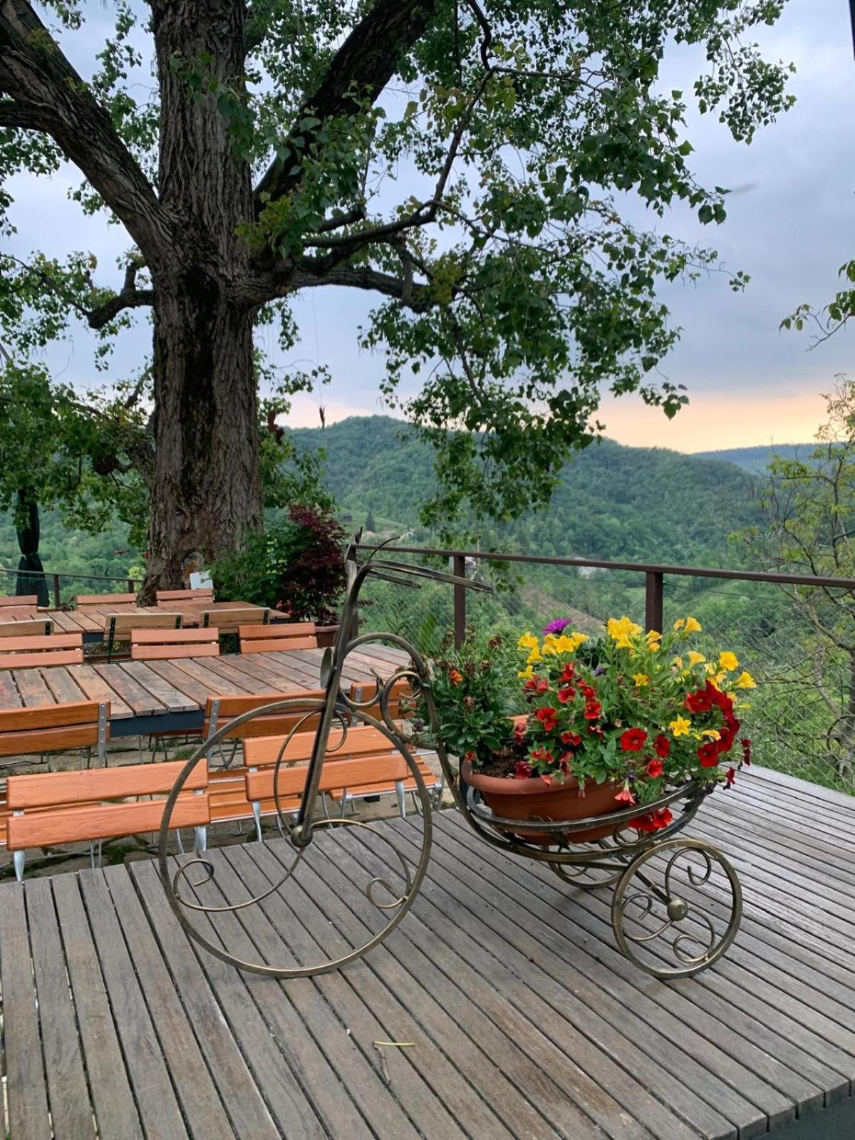 Agriturismo Le Noci Tarzo Ngoại thất bức ảnh
