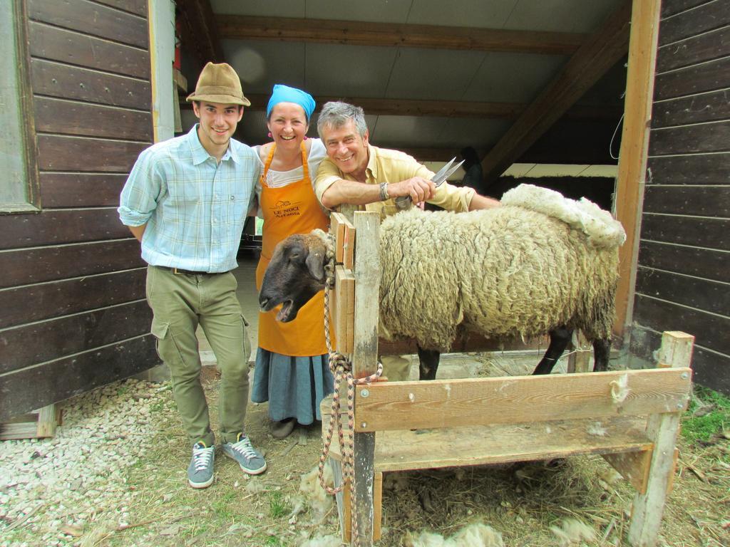Agriturismo Le Noci Tarzo Ngoại thất bức ảnh