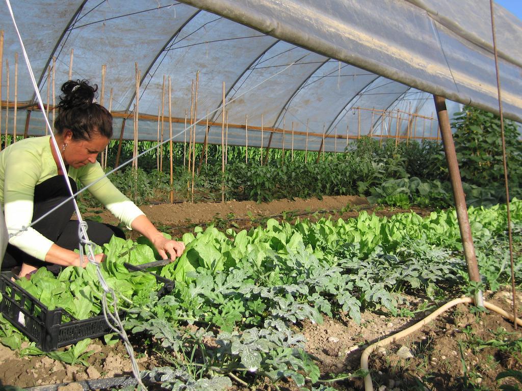 Agriturismo Le Noci Tarzo Ngoại thất bức ảnh